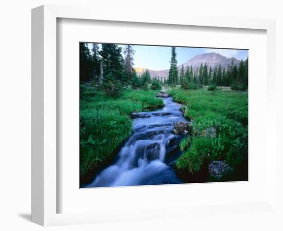 Agassiz Peak in the Distance, Stillwater Fork of Bear River Drainage, High Uintas Wilderness, Utah-Scott T^ Smith-Framed Photographic Print