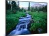 Agassiz Peak in the Distance, Stillwater Fork of Bear River Drainage, High Uintas Wilderness, Utah-Scott T^ Smith-Mounted Photographic Print