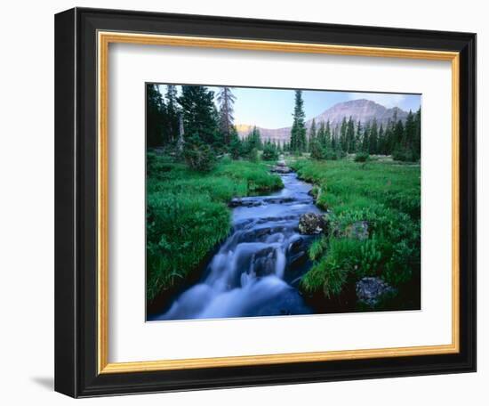 Agassiz Peak in the Distance, Stillwater Fork of Bear River Drainage, High Uintas Wilderness, Utah-Scott T^ Smith-Framed Photographic Print