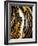 Agate Crystal. Golden Swirl, Artistic Design. the Revival of Oriental Ancie-CARACOLLA-Framed Photographic Print