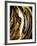 Agate Crystal. Golden Swirl, Artistic Design. the Revival of Oriental Ancie-CARACOLLA-Framed Photographic Print