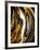 Agate Crystal. Golden Swirl, Artistic Design. the Revival of Oriental Ancie-CARACOLLA-Framed Photographic Print