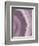 Agate Geode II Plum-Wild Apple Portfolio-Framed Premium Giclee Print