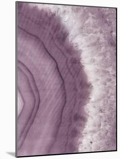 Agate Geode II Plum-Wild Apple Portfolio-Mounted Art Print