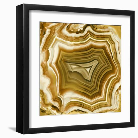 Agate in Amber-Danielle Carson-Framed Art Print