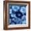 Agate in Blue I-Danielle Carson-Framed Giclee Print