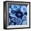 Agate in Blue I-Danielle Carson-Framed Giclee Print