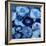 Agate in Blue I-Danielle Carson-Framed Art Print