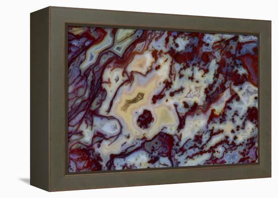 Agate in Colorful Design, Sammamish, WA-Darrell Gulin-Framed Premier Image Canvas