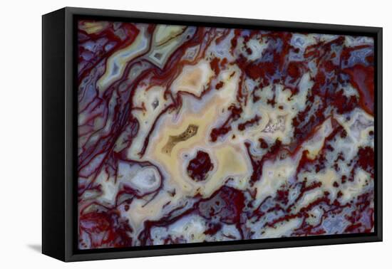 Agate in Colorful Design, Sammamish, WA-Darrell Gulin-Framed Premier Image Canvas