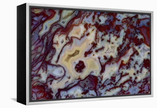 Agate in Colorful Design, Sammamish, WA-Darrell Gulin-Framed Premier Image Canvas