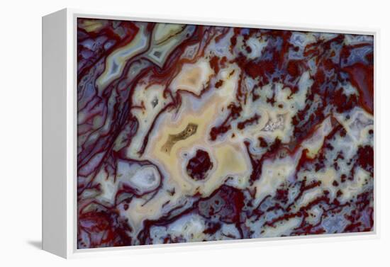 Agate in Colorful Design, Sammamish, WA-Darrell Gulin-Framed Premier Image Canvas