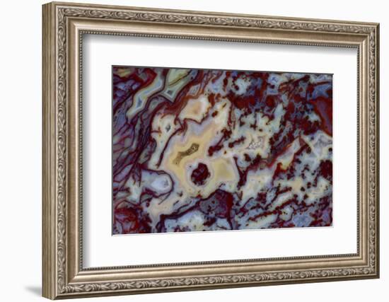 Agate in Colorful Design, Sammamish, WA-Darrell Gulin-Framed Photographic Print