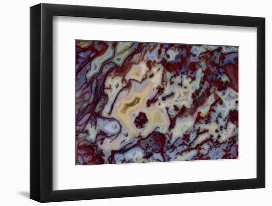 Agate in Colorful Design, Sammamish, WA-Darrell Gulin-Framed Photographic Print