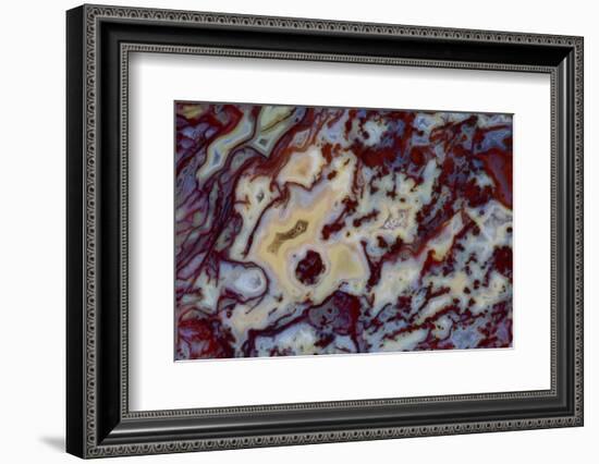 Agate in Colorful Design, Sammamish, WA-Darrell Gulin-Framed Photographic Print