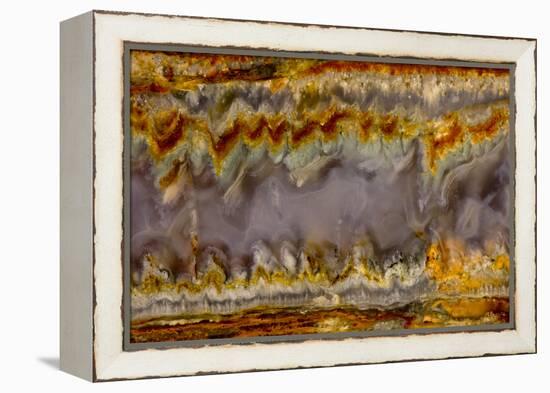 Agate in Colorful Design, Sammamish, WA-Darrell Gulin-Framed Premier Image Canvas