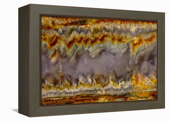 Agate in Colorful Design, Sammamish, WA-Darrell Gulin-Framed Premier Image Canvas