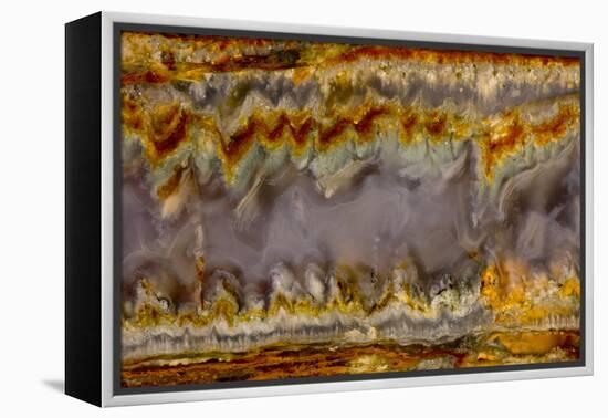 Agate in Colorful Design, Sammamish, WA-Darrell Gulin-Framed Premier Image Canvas