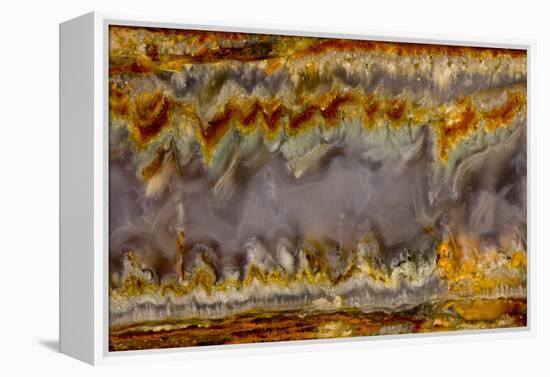 Agate in Colorful Design, Sammamish, WA-Darrell Gulin-Framed Premier Image Canvas