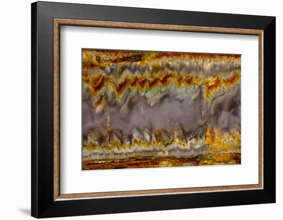 Agate in Colorful Design, Sammamish, WA-Darrell Gulin-Framed Photographic Print