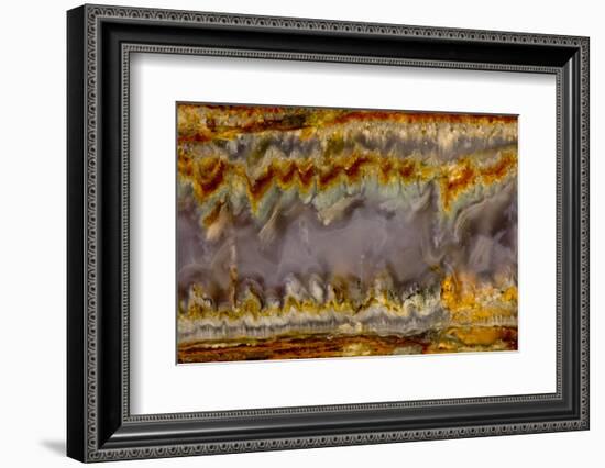 Agate in Colorful Design, Sammamish, WA-Darrell Gulin-Framed Photographic Print