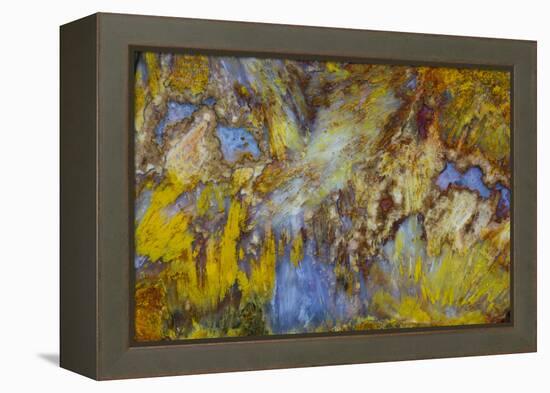 Agate in Colorful Design, Sammamish, WA-Darrell Gulin-Framed Premier Image Canvas