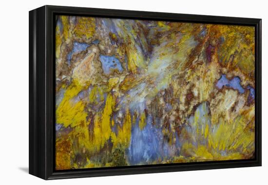 Agate in Colorful Design, Sammamish, WA-Darrell Gulin-Framed Premier Image Canvas