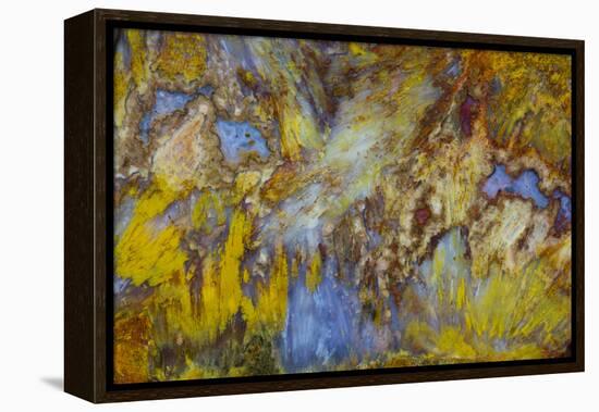 Agate in Colorful Design, Sammamish, WA-Darrell Gulin-Framed Premier Image Canvas