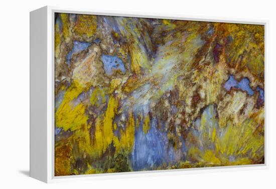 Agate in Colorful Design, Sammamish, WA-Darrell Gulin-Framed Premier Image Canvas