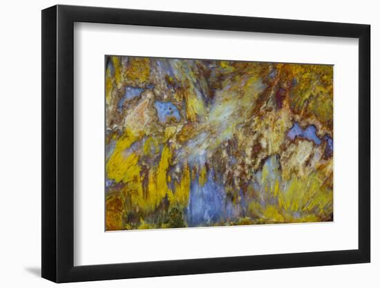 Agate in Colorful Design, Sammamish, WA-Darrell Gulin-Framed Photographic Print