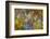 Agate in Colorful Design, Sammamish, WA-Darrell Gulin-Framed Photographic Print