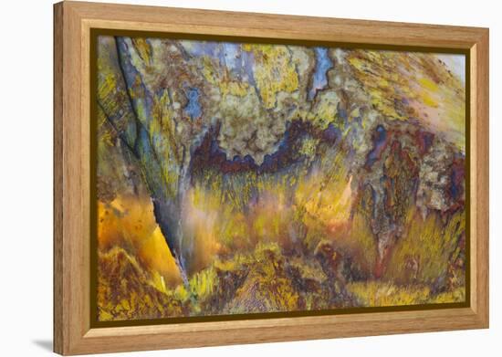 Agate in Colorful Design, Sammamish, WA-Darrell Gulin-Framed Premier Image Canvas