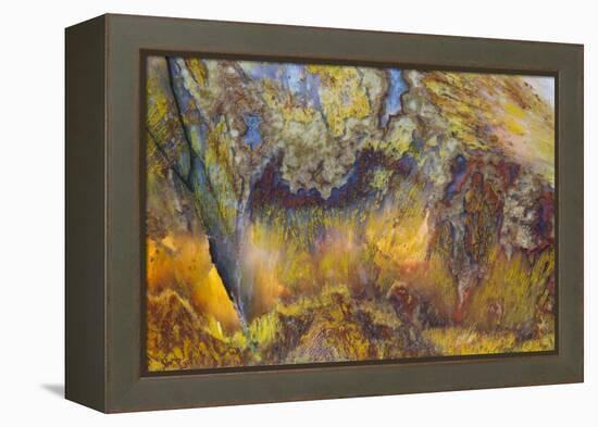 Agate in Colorful Design, Sammamish, WA-Darrell Gulin-Framed Premier Image Canvas