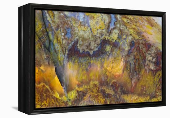 Agate in Colorful Design, Sammamish, WA-Darrell Gulin-Framed Premier Image Canvas