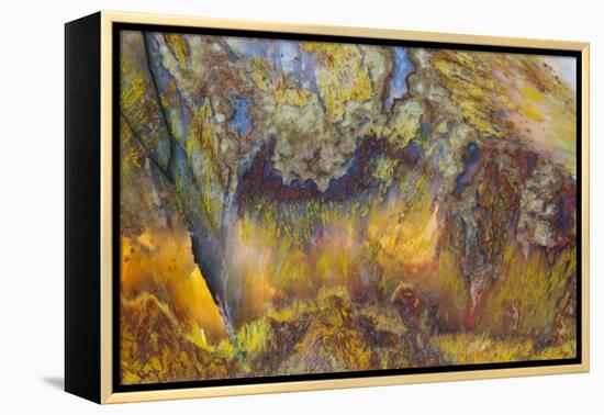 Agate in Colorful Design, Sammamish, WA-Darrell Gulin-Framed Premier Image Canvas