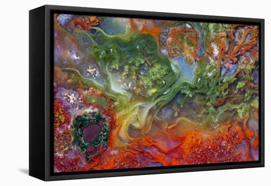 Agate in Colorful Design, Sammamish, WA-Darrell Gulin-Framed Premier Image Canvas