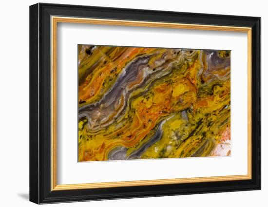 Agate in Colorful Design, Sammamish, WA-Darrell Gulin-Framed Photographic Print