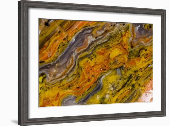 Agate in Colorful Design, Sammamish, WA-Darrell Gulin-Framed Photographic Print