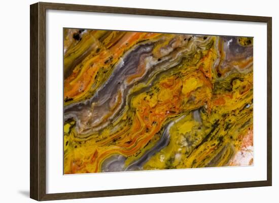 Agate in Colorful Design, Sammamish, WA-Darrell Gulin-Framed Photographic Print