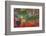 Agate in Colorful Design, Sammamish, WA-Darrell Gulin-Framed Photographic Print