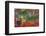 Agate in Colorful Design, Sammamish, WA-Darrell Gulin-Framed Photographic Print