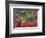 Agate in Colorful Design, Sammamish, WA-Darrell Gulin-Framed Photographic Print