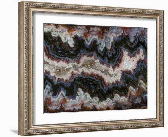 Agate in Colorful Design, Sammamish, WA-Darrell Gulin-Framed Photographic Print