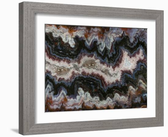 Agate in Colorful Design, Sammamish, WA-Darrell Gulin-Framed Photographic Print