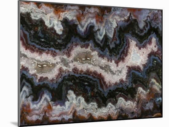 Agate in Colorful Design, Sammamish, WA-Darrell Gulin-Mounted Photographic Print