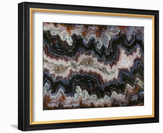 Agate in Colorful Design, Sammamish, WA-Darrell Gulin-Framed Photographic Print