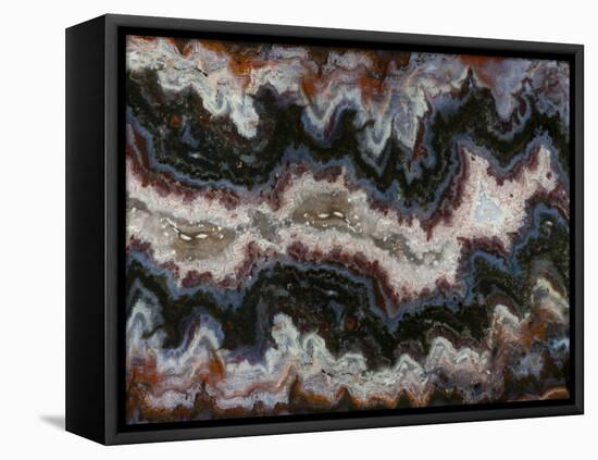 Agate in Colorful Design, Sammamish, WA-Darrell Gulin-Framed Premier Image Canvas