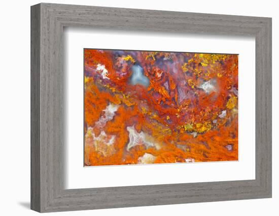 Agate in Colorful Design, Sammamish, WA-Darrell Gulin-Framed Photographic Print