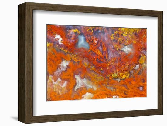 Agate in Colorful Design, Sammamish, WA-Darrell Gulin-Framed Photographic Print