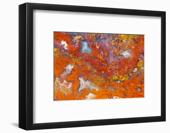 Agate in Colorful Design, Sammamish, WA-Darrell Gulin-Framed Photographic Print